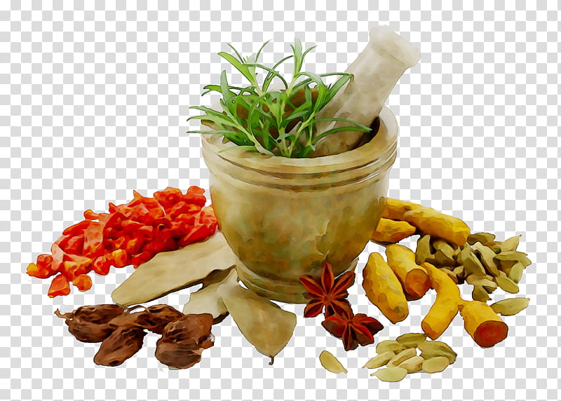 Medicine, Herb, Extract, Ayurveda, Health, Herbalism, Herbal Tea, Therapy transparent background PNG clipart