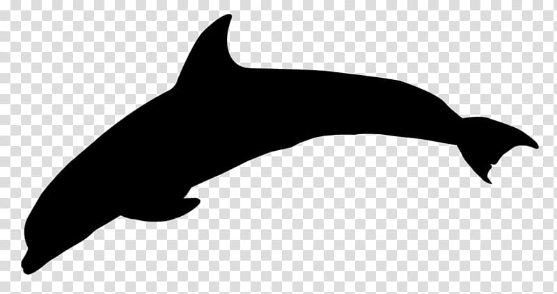 Whale, Dolphin, Dog, Killer Whale, Silhouette, Whales, Beak, Black M transparent background PNG clipart