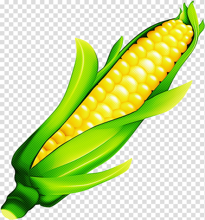 Candy Corn, Corn On The Cob, Maize, Corn Kernel, Corncob, Sweet Corn, Ear, Field Corn transparent background PNG clipart