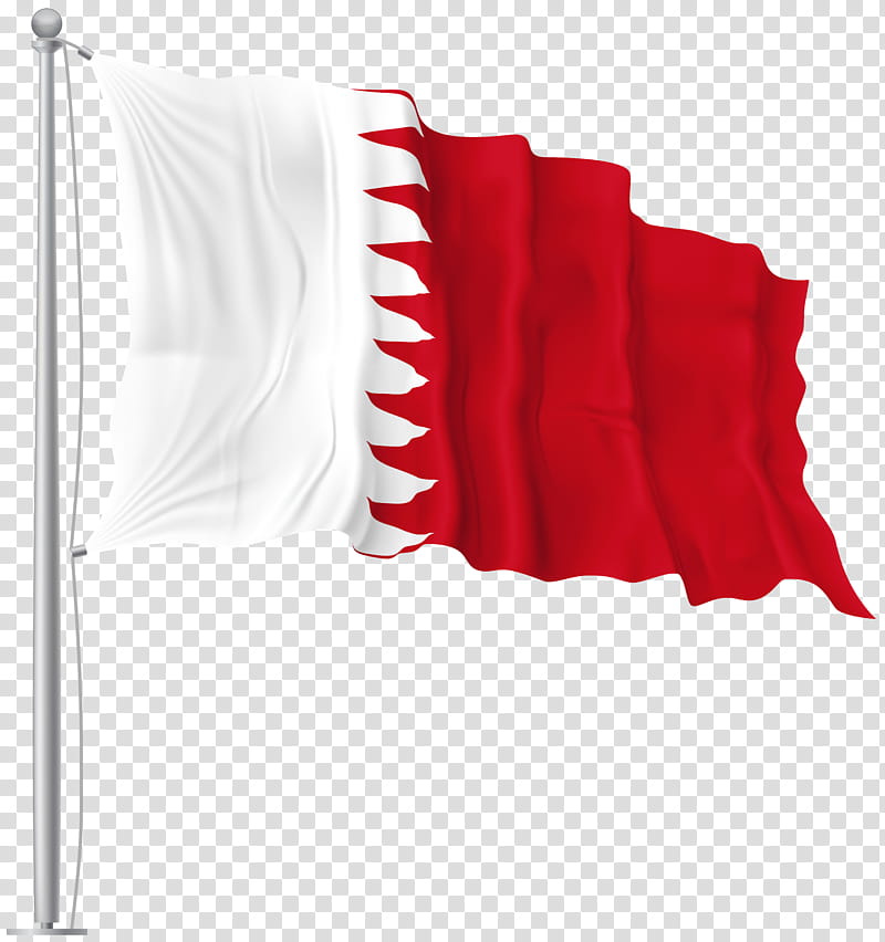 India Flag National Flag, Flag Of Turkey, Flag Of China, Flag Of Belgium, Flag Of Bahrain, Flag Of The Republic Of China, FLAG OF NIGERIA, Flag Of Egypt transparent background PNG clipart
