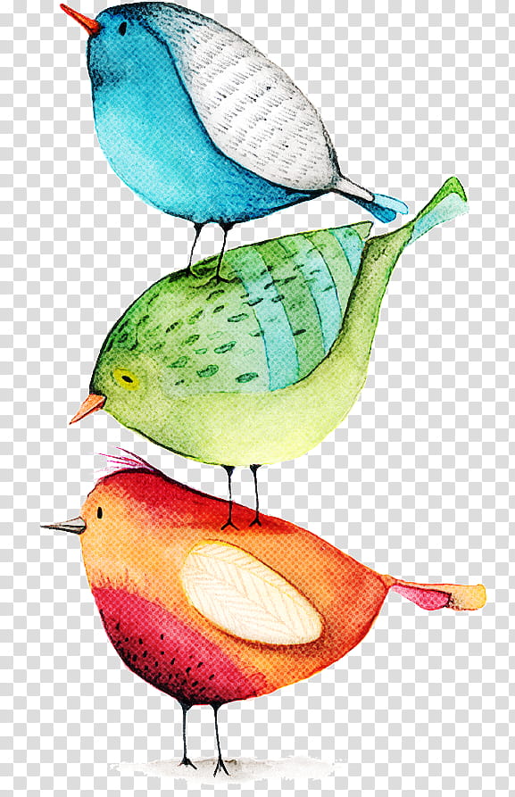 bird perching bird beak songbird transparent background PNG clipart