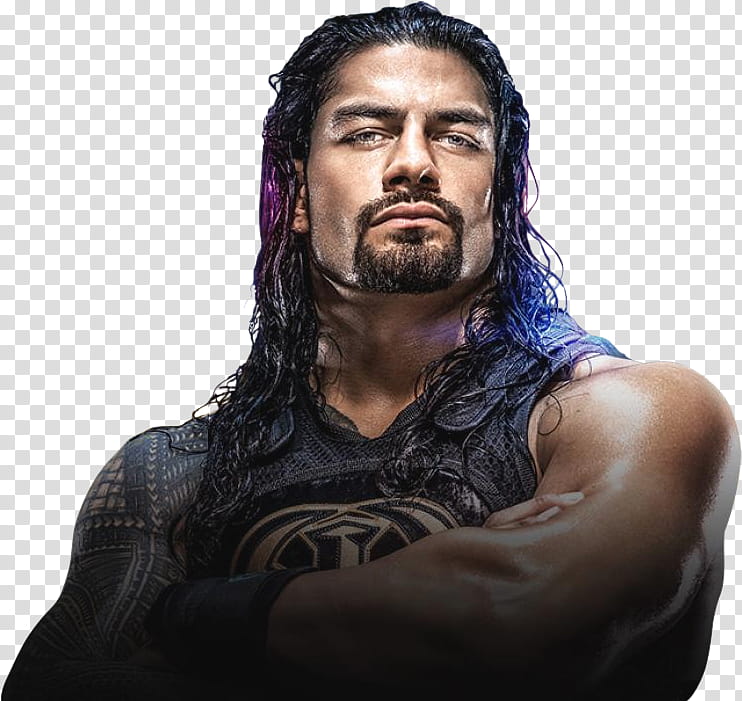 Roman Reigns Roadblock End of the Line  transparent background PNG clipart