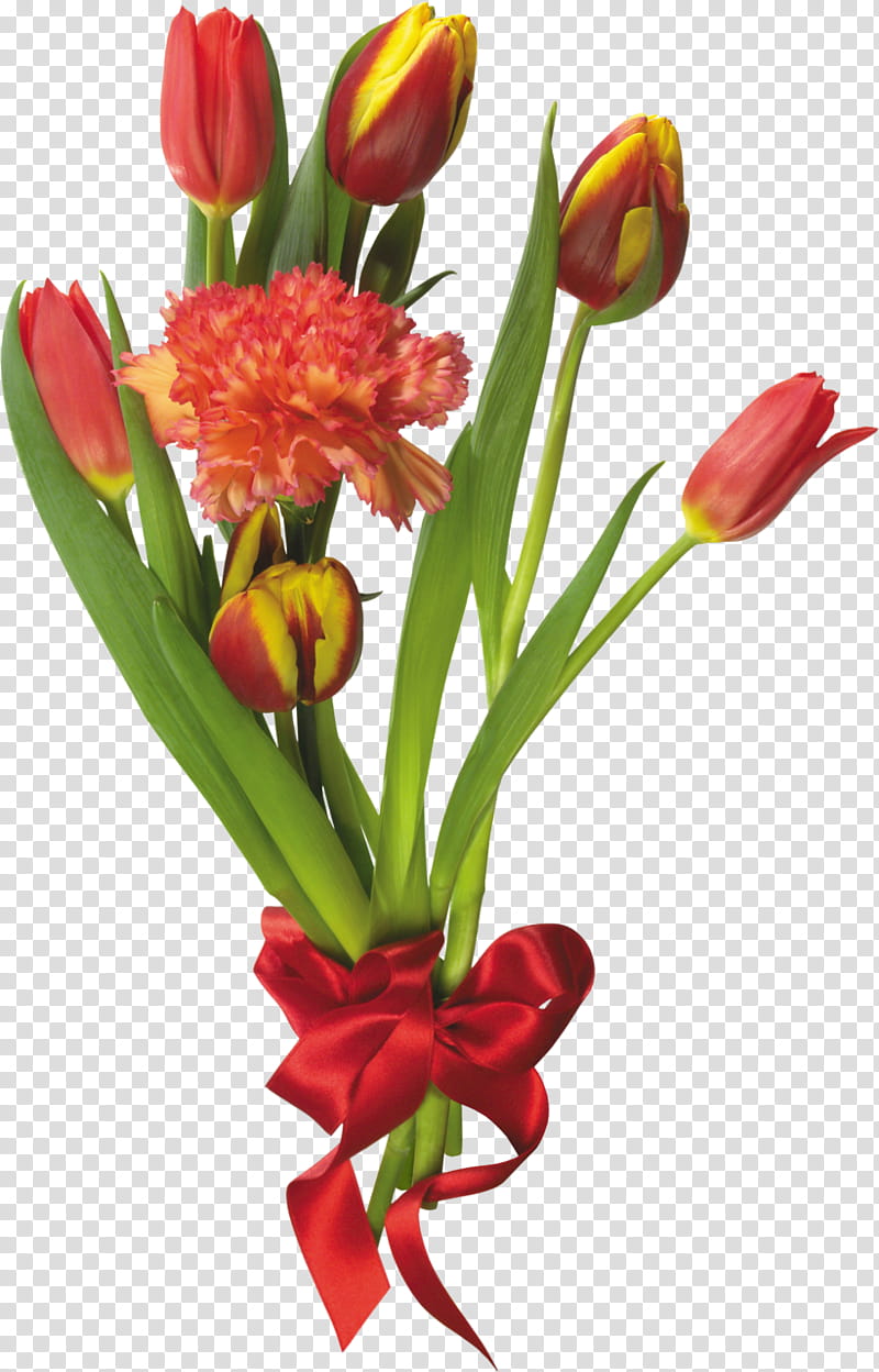 Lily Flower, Flower Bouquet, Tulip, Floristry, Cut Flowers, Floral Design, Pink Flowers, Rose transparent background PNG clipart