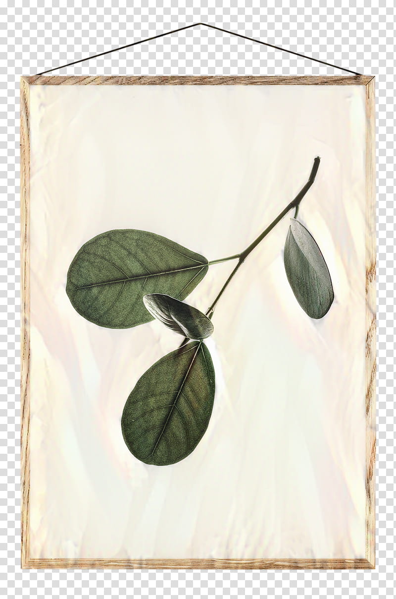 Green Board, Paper Collective, Paper Collective Floating Leaves 05, Moebe, Poster, Paper Collective Floating Leaves 02 Poster A3, Frames, Printing transparent background PNG clipart
