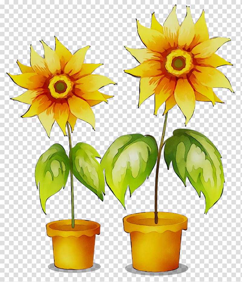 Flowers, New Delhi, Train, Floristry, Sunflower, Cut Flowers, Grammar, Sunflower Seed transparent background PNG clipart