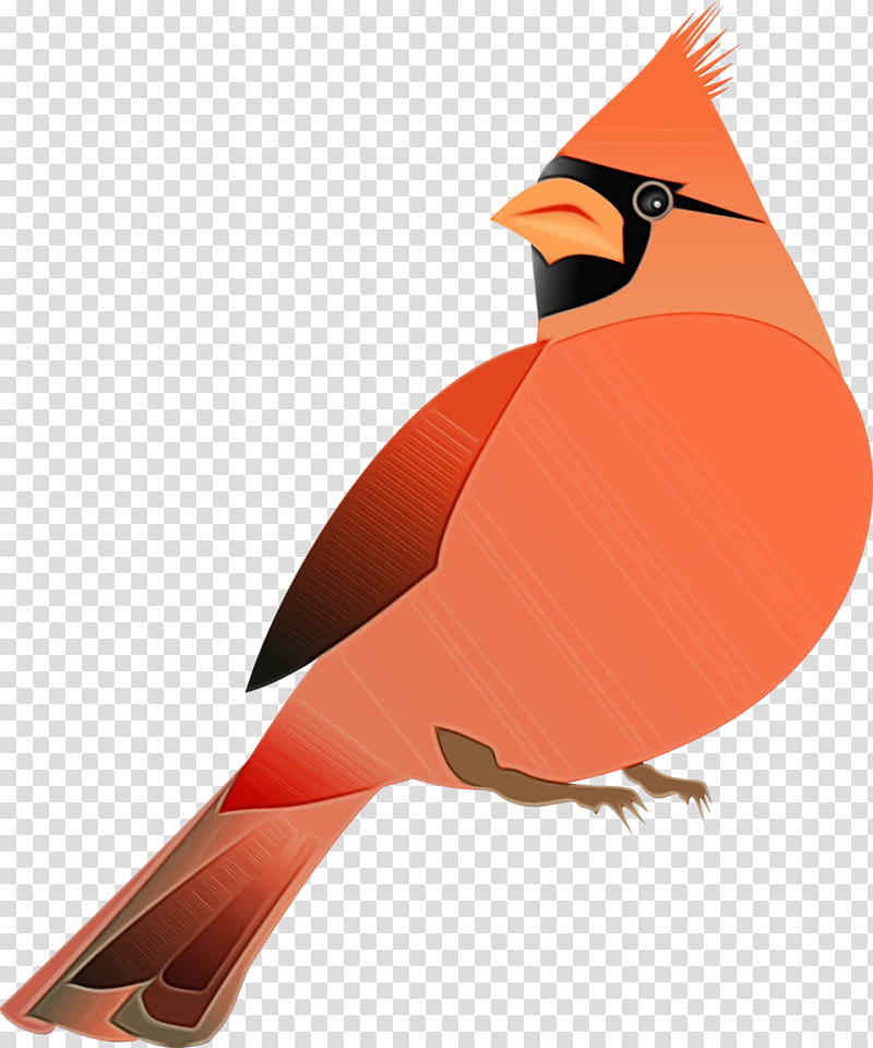 bird northern cardinal cardinal beak songbird, Watercolor, Paint, Wet Ink, Perching Bird, Finch transparent background PNG clipart