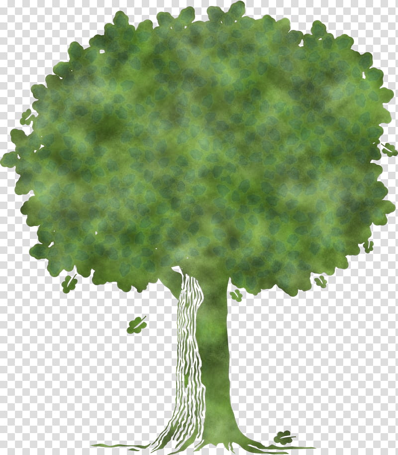 Arbor day, Tu Bishvat Tree, Tu Bishvat Tree , Abstract Tree, Cartoon Tree, Plant, Leaf, Woody Plant transparent background PNG clipart