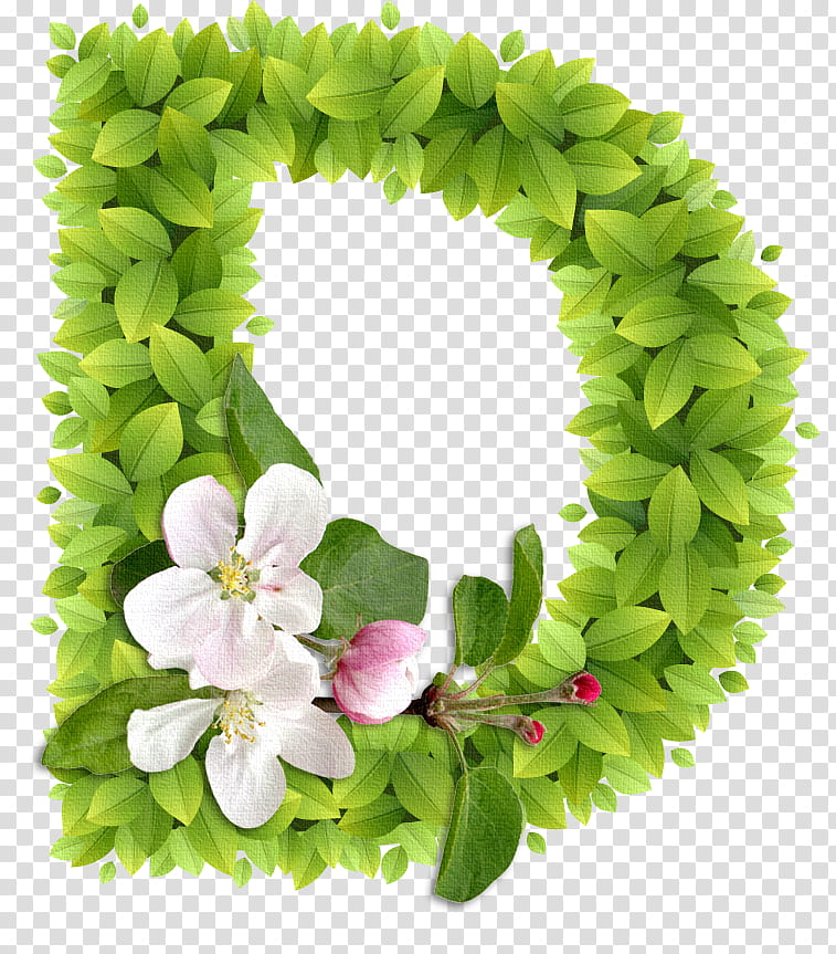 Flowers, Floral Design, Letter, Alphabet, Lettering, Flashcards Alphabet, English Alphabet, Z transparent background PNG clipart