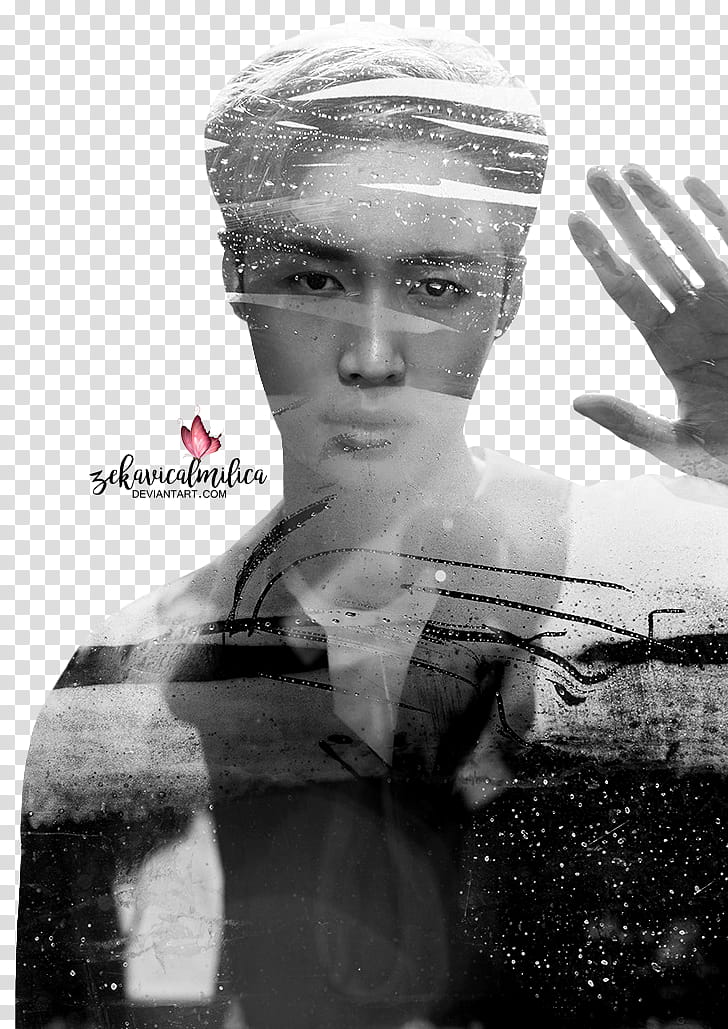 EXO Lay Give Me A Chance, portrait grayscale graphy of man transparent background PNG clipart