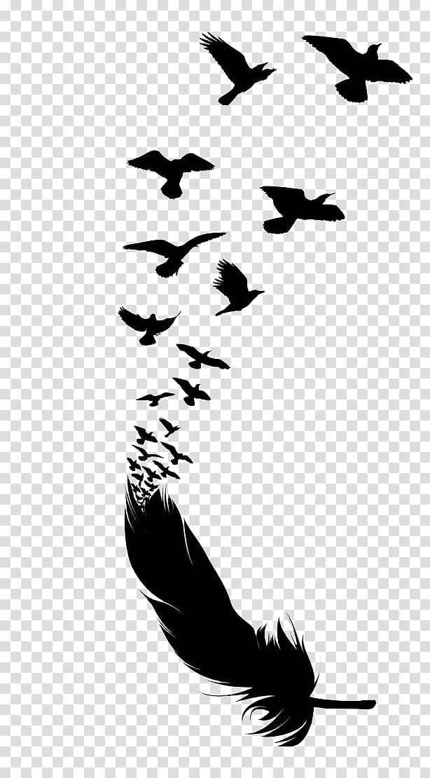Silhouette Of Flying Birds On White Background Inspirational Body Flash  Tattoo Ink Vector Stock Illustration  Download Image Now  iStock