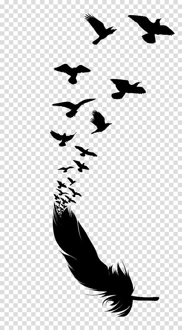 Bird Tattoo, Feather, Sleeve Tattoo, Silhouette, Wall Decal, Body Art, Drawing, Common Raven transparent background PNG clipart