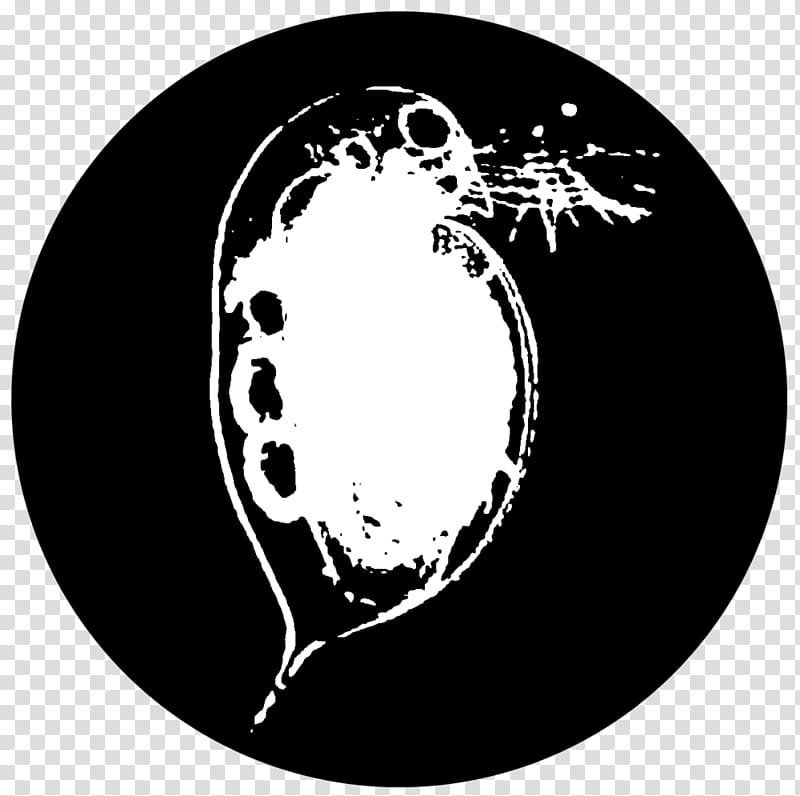 Water Circle, Daphnia Magna, Water Flea, Daphnia Pulex, Moina, Zooplankton, Restaurant, Logo transparent background PNG clipart
