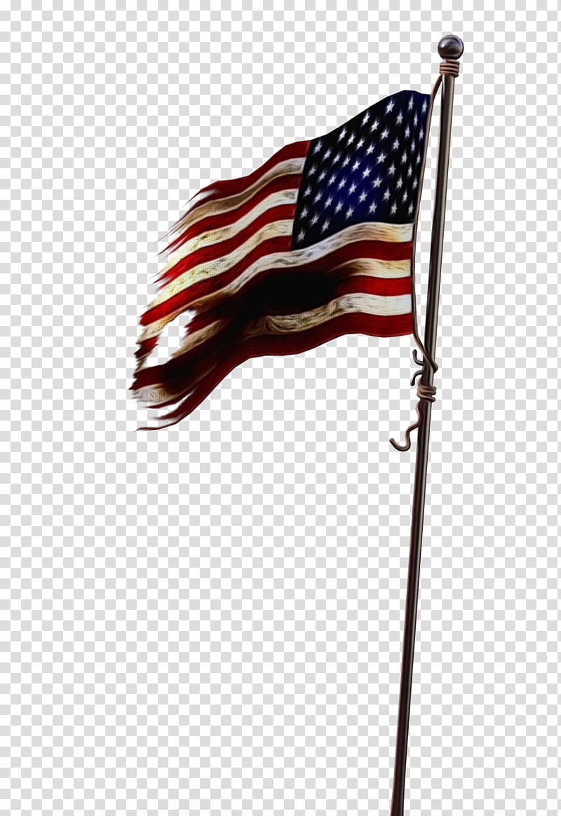 Veterans Day United States, Flag Of The United States, Flag Day Usa transparent background PNG clipart