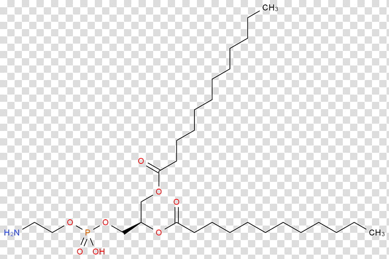 Tree Line, Dipalmitoylphosphatidylcholine, Phospholipid, Acyl Group, Diagram, Chemical Formula, Text, Area transparent background PNG clipart