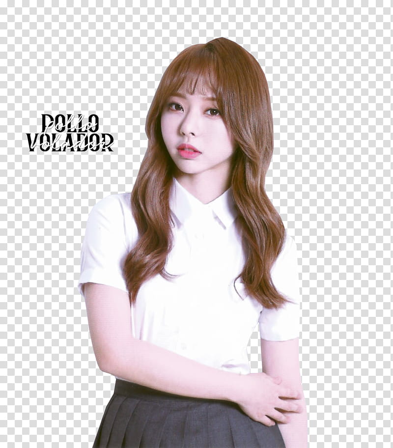 LOONA Album Scans transparent background PNG clipart