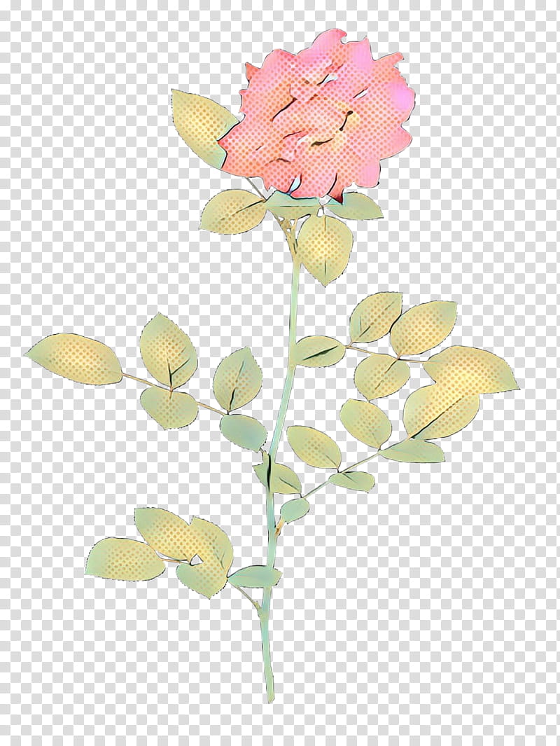 Pink Flower, Rose, Garden Roses, Shrub, Sharbat, Lemon, Miniatura, Knock Out transparent background PNG clipart