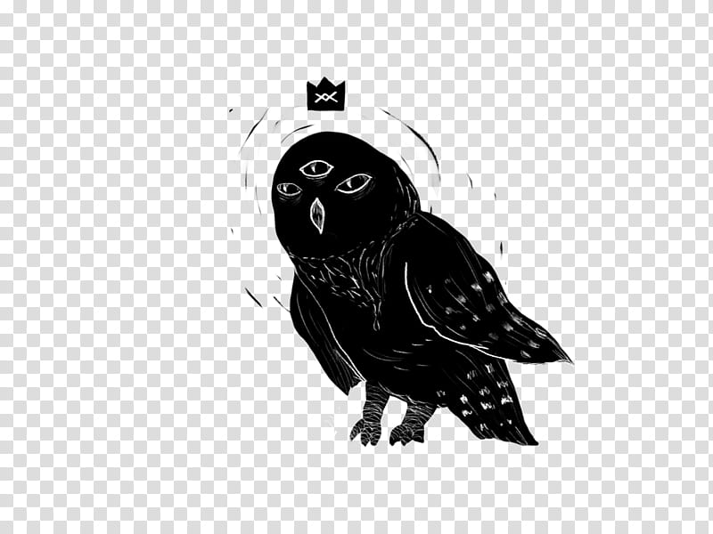 Bird Silhouette, Owl, Drawing, Black, Beak, Black M, Black And White
, Bird Of Prey transparent background PNG clipart