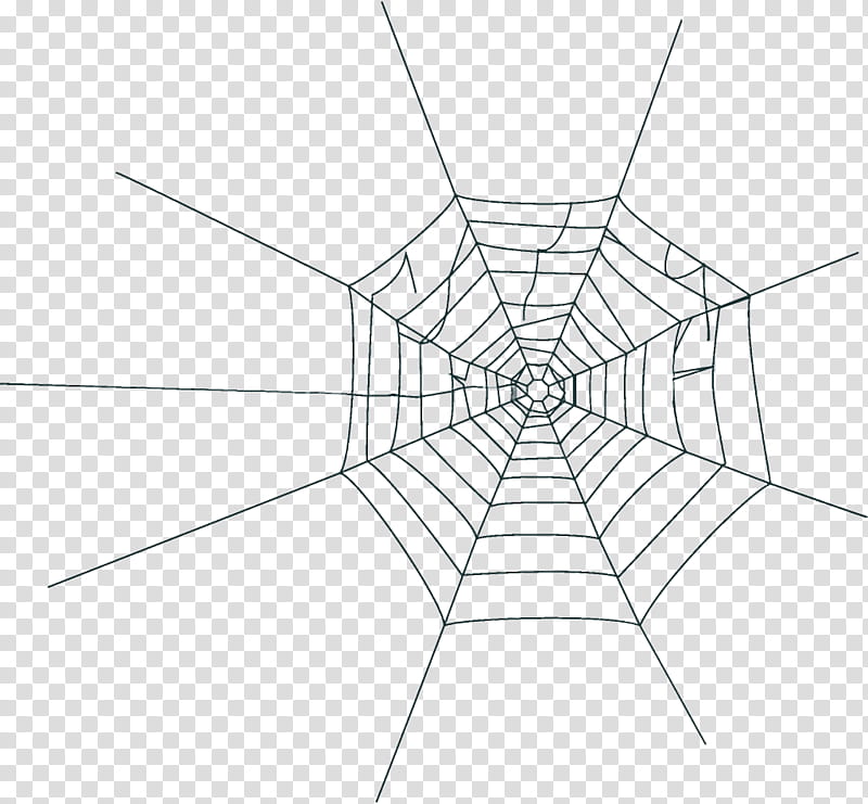 spider web halloween, Halloween , White, Line, Symmetry, Line Art, Blackandwhite, Diagram transparent background PNG clipart