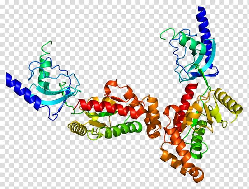 Cacnb4 Text, Voltagegated Calcium Channel, Gene, Protein, Ntype Calcium Channel, Episodic Ataxia, Human, Protein Subunit transparent background PNG clipart