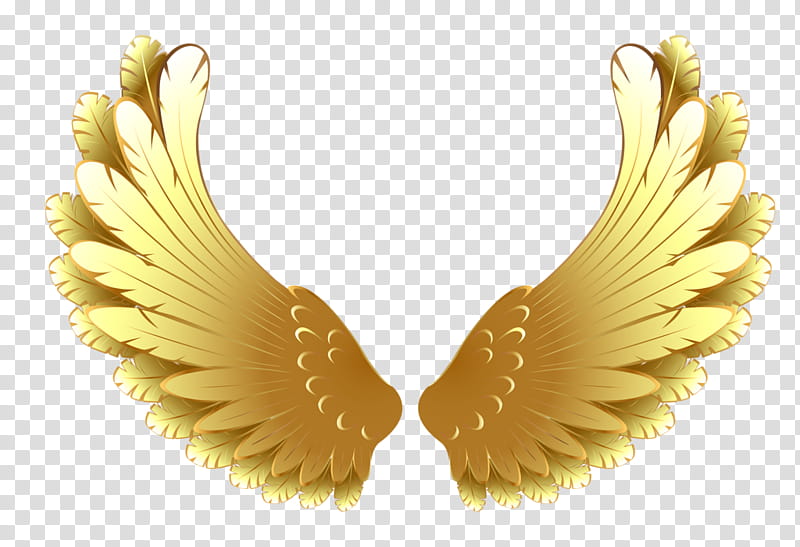 Gold Earrings, Metal, Wing, Silver, Yellow, Jewellery, Feather transparent background PNG clipart