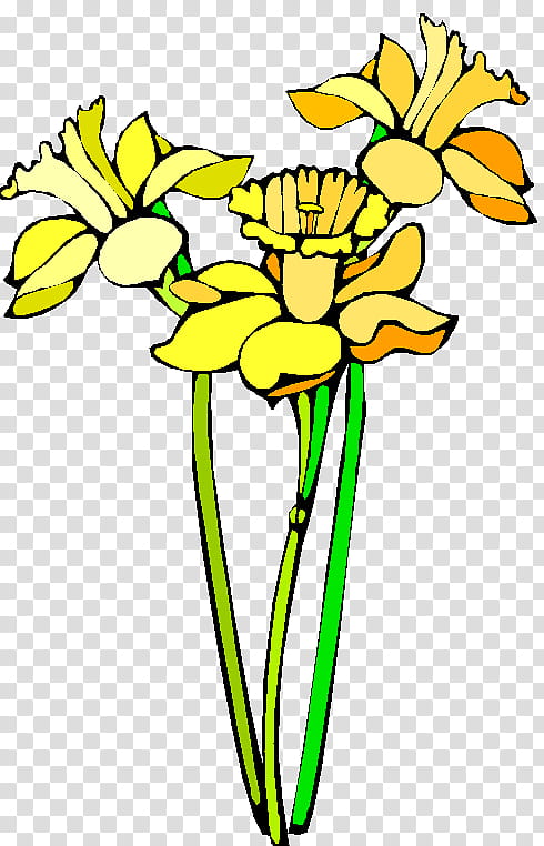 flower yellow cut flowers plant plant stem, Petal, Narcissus, Pedicel transparent background PNG clipart