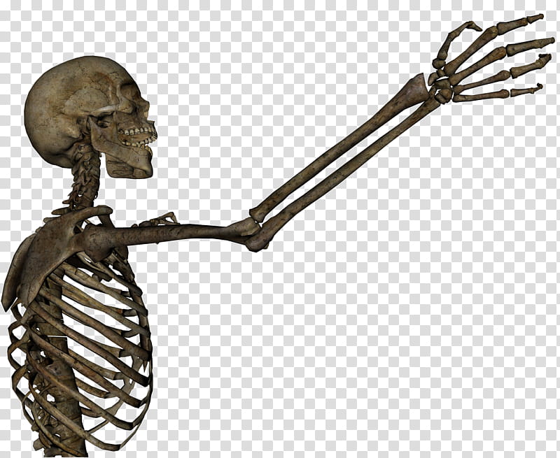 Skeleton Grasping , human skeleton illustration transparent background PNG clipart