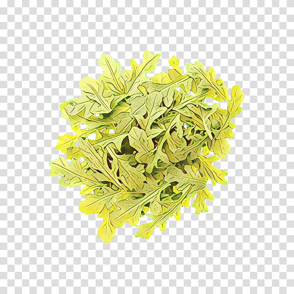 yellow flower plant aquarium decor goldenrod, Perennial Plant transparent background PNG clipart