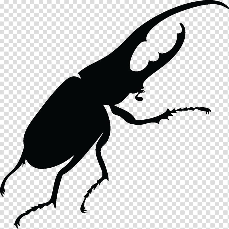 Beetle Insect, Silhouette, Black And White
, Pest, Wing, Weevil, Fly, Beak transparent background PNG clipart