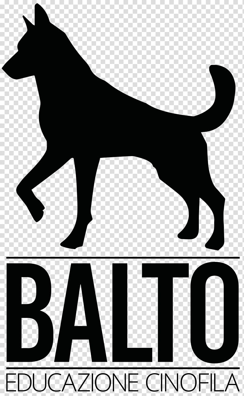 Dog Logo, Snout, Breed, Tail, Black Norwegian Elkhound, Sporting Group, Working Dog, Ancient Dog Breeds transparent background PNG clipart
