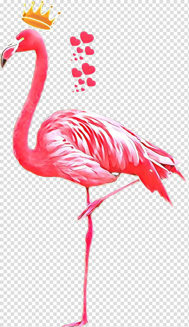 Pink Flamingo, Bird, Crane, Beak, Pink M, Greater Flamingo, Water Bird transparent background PNG clipart