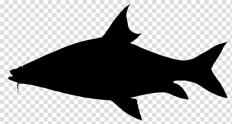 Shark Fin, Silhouette, Fish, Blackandwhite transparent background PNG clipart