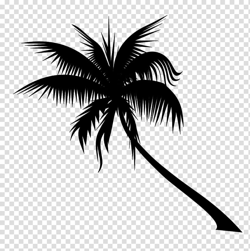 Palm Tree Silhouette, Lunchbox, Dypsis Decaryi, Adonidia, Coconut, Areca Palm, Palm Trees, Black transparent background PNG clipart