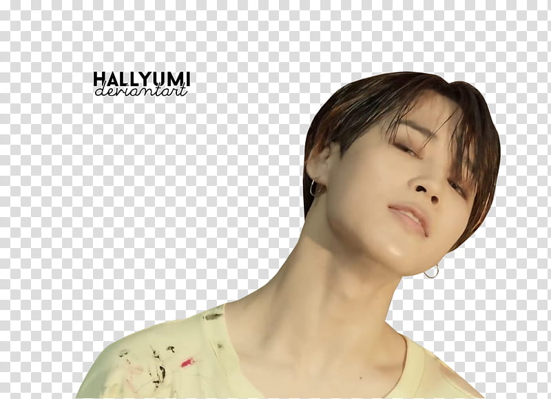 BTS FAKE LOVE, Hallyumi wearing brown tops transparent background PNG clipart