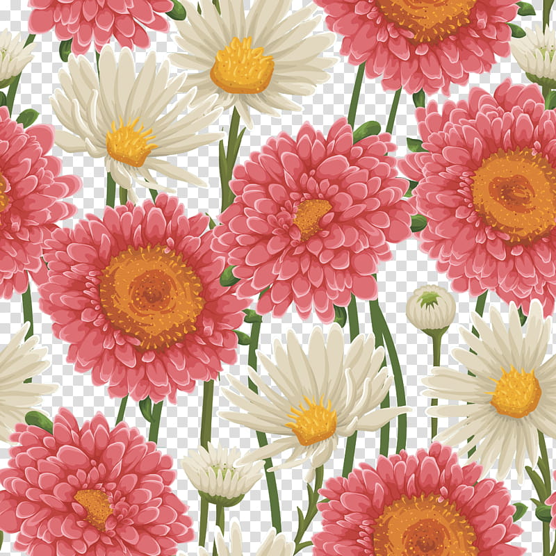 Flowers, Transvaal Daisy, Chrysanthemum, Floral Design, Daisy Family, Marguerite Daisy, Cut Flowers, Dahlia transparent background PNG clipart