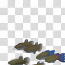 Spore creature Guppy shoal  transparent background PNG clipart