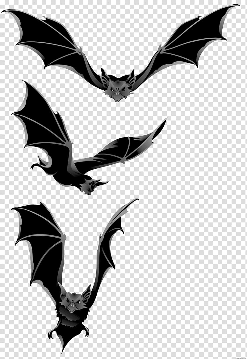 Bat, Bat Flight, Silhouette, Blackandwhite, Wing, Stencil, Emblem, Logo transparent background PNG clipart