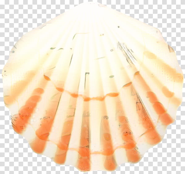 Seafood, Seashell, White, Orange, Clam, Bivalve, Scallop, Cockle transparent background PNG clipart