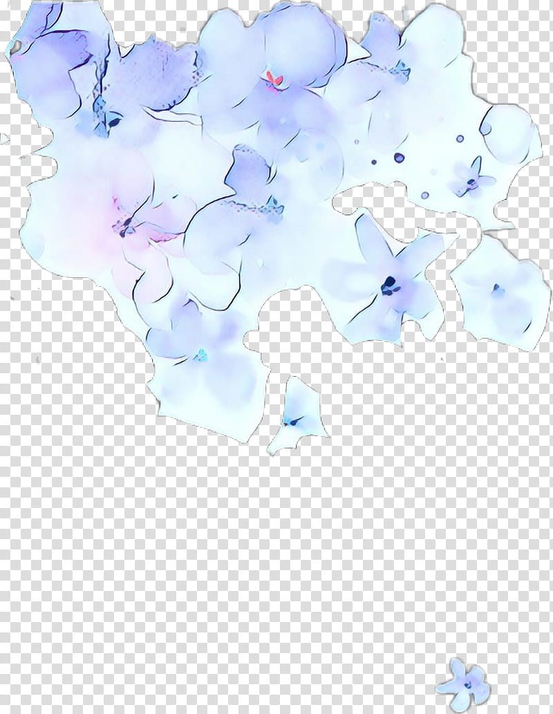 White Flower, Sky, Blue, Petal, Plant, Cloud, Hydrangea, Morning Glory transparent background PNG clipart