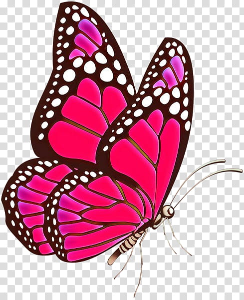 Monarch butterfly, Cartoon, Moths And Butterflies, Insect, Pink, Pollinator, Brushfooted Butterfly, Magenta transparent background PNG clipart