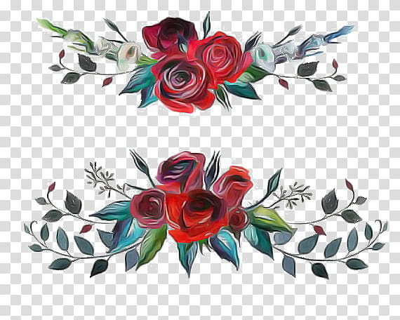 Garden roses, Red, Flower, Plant, Leaf, Rose Family, Petal transparent background PNG clipart