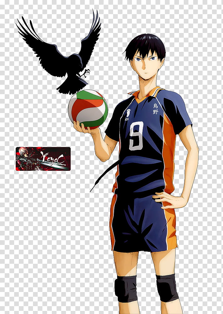 Free: Anime Icon , Haikyuu anime cover transparent background PNG clipart 