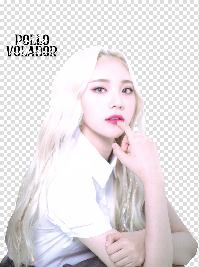 LOONA Album Scans transparent background PNG clipart