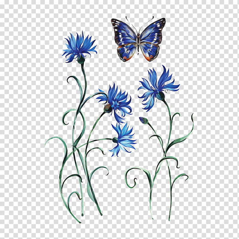 Monarch Butterfly Drawing, Tattoo, Cornflower, Butterfly Moth, Lepidoptera, Knapweeds, Blue, Moths And Butterflies transparent background PNG clipart