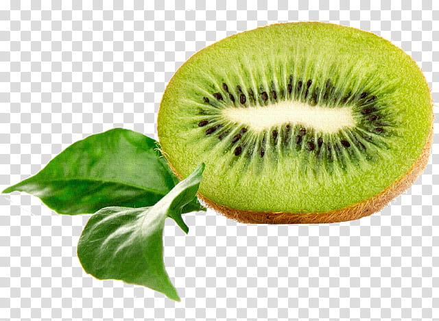Kiwi Bird, Kiwifruit, Food, Lime, Exotic Fruit, Vegetable, Kitchen, Lemon transparent background PNG clipart