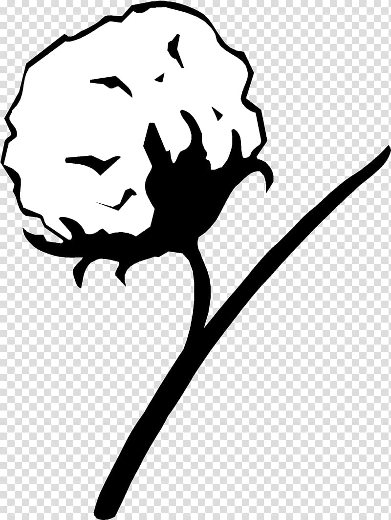 Cotton Plant Drawing png images | PNGEgg