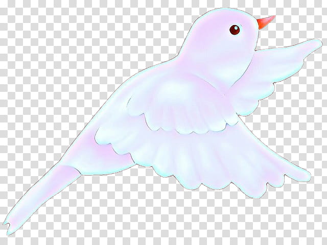 Feather, White, Pink, Bird, Wing, Beak, Pigeons And Doves transparent background PNG clipart