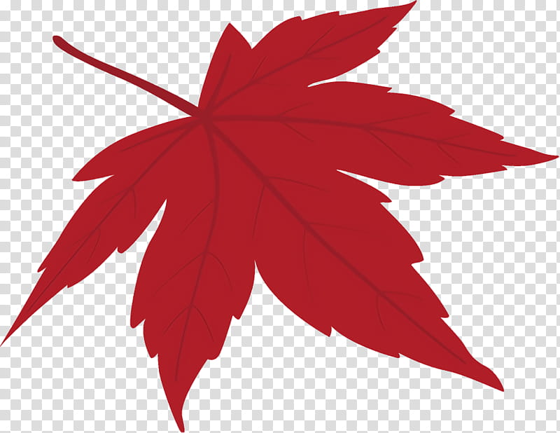 maple leaf fallen leaf dead leaf, Autumn Leaf, Red, Tree, Plant, Woody Plant, Sweet Gum, Black Maple transparent background PNG clipart