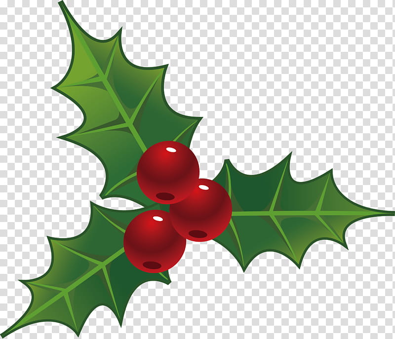 christmas Christmas Ornaments, Christmas , Holly, Leaf, American Holly, Plant, Flower, Hollyleaf Cherry transparent background PNG clipart