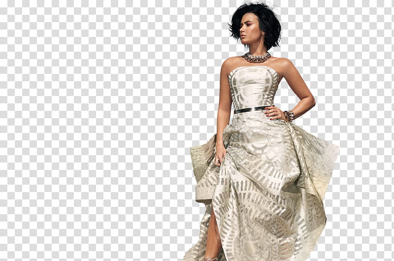 Demi Lovato, woman standing wearing gray strapless dress left hand holding dress rim and right hand on hip transparent background PNG clipart