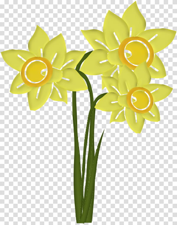 Lily Flower, Cut Flowers, Blume, Tulip, Jonquille, Irises, Flower Bouquet, Wild Daffodil transparent background PNG clipart